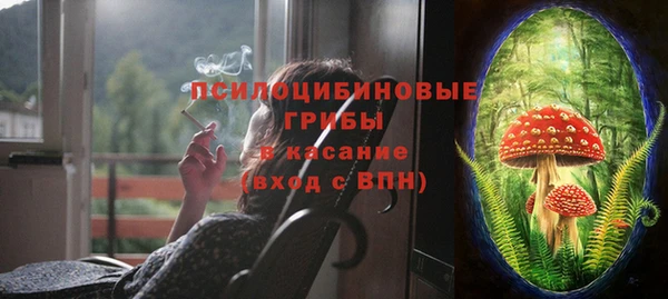 спиды Арсеньев