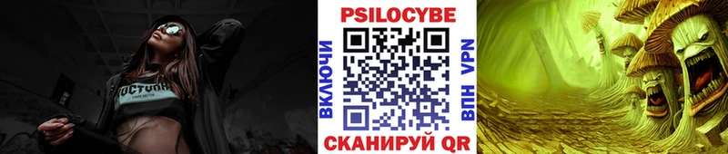 Галлюциногенные грибы Psilocybine cubensis  магазин    Серов 