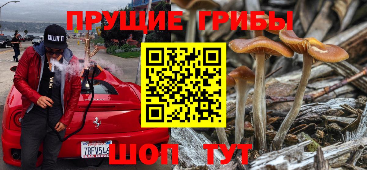 Серов  КОКАИН  Меф МЯУ МЯУ кристаллы  ЭКСТАЗИ  APVP СК   Гашиш  Вход с VPN  Конопля  ГАШИШ 