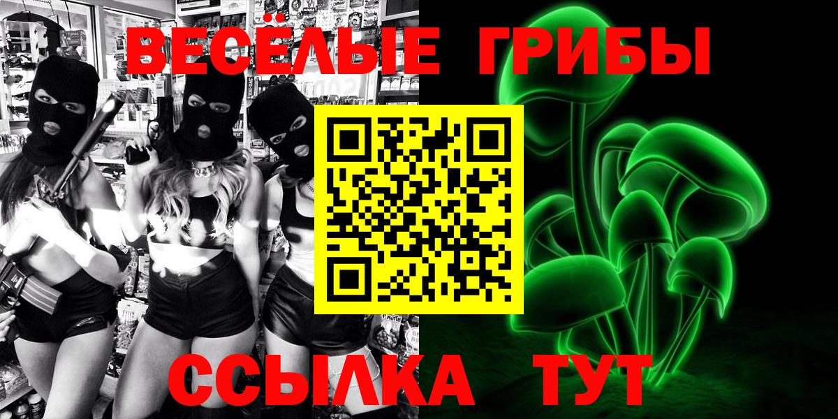 Псилоцибиновые грибы мицелий Серов