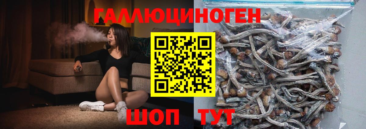 Псилоцибиновые грибы ЛСД  Вход с VPN  даркнет сайт  Серов 
